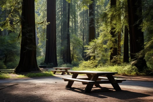 A wooden picnic table in a redwood forest. Generative AI