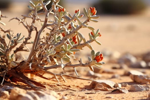 A close up of a resilient desert plant thriving in extreme conditions
