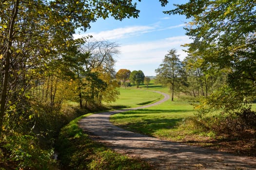 A street through green landscape between meadows, creek, trees  and fields