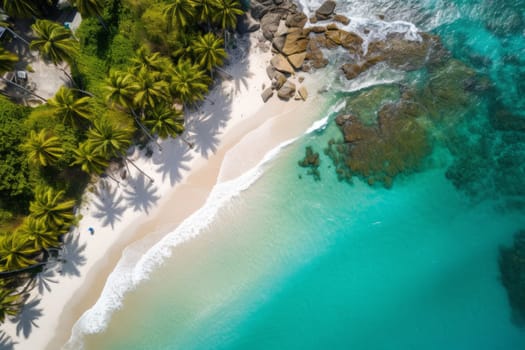 Aerial shot of a pristine beach with crystal clear waters and palm trees