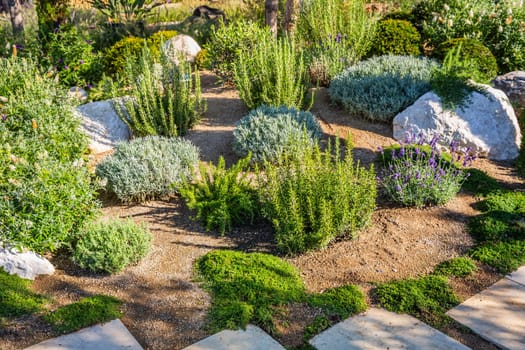 Backyard with fantastic landscaping, patio, drought resistant plants
