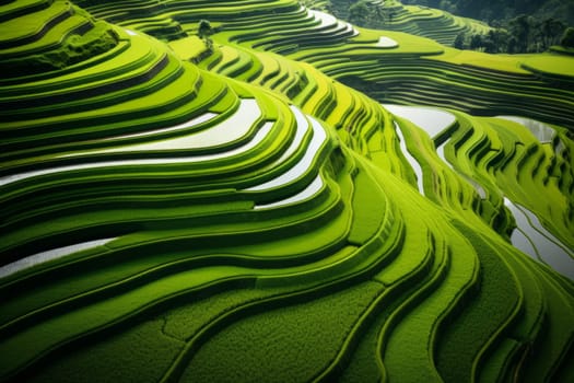 Mesmerizing patterns of terraced paddy fields. Generative AI