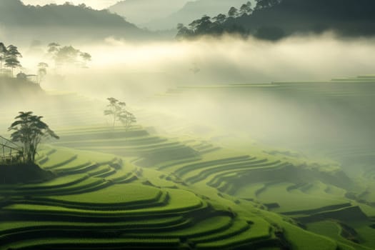 Paddy fields blanketed in mist. Generative AI