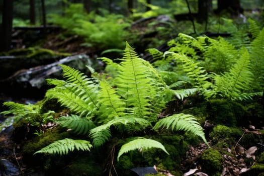 Bunch of green plants that are in the woods. Generative AI