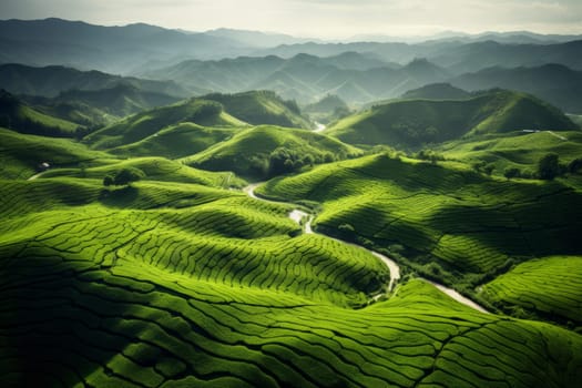 Lush Tea Plantation Landscape. Generative AI