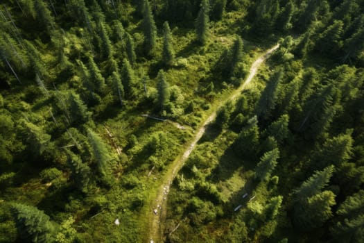 Serene Forest with Hiking Trail. Generative AI