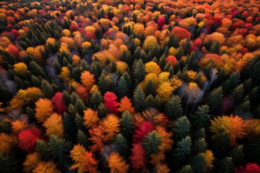Aerial View of Vibrant Autumn Forest. Generative AI