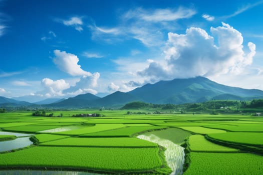 A serene view of lush green paddy fields. Generative AI
