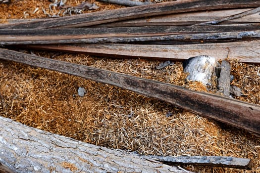 Sawdust or wood dust texture background.