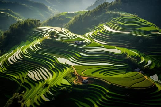 Intricate network of terraced paddy fields. Generative AI