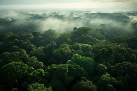 Aerial View of Vast Forest Canopy. Generative AI