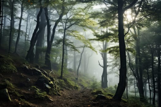 Mystic forest scene with morning fog. Generative AI