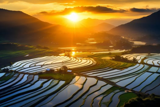 Paddy fields transformed into a golden sea. Generative AI