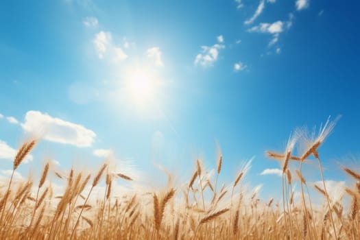 Sun-Kissed Field under Clear Sky. Generative AI