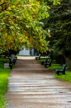 Architecture in Petergof, intercity municipality as part of the Petrodvorets district of the city of federal significance St Petersburg