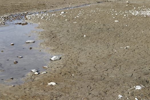 A lake begins to dry up and leaves behind a huge underground