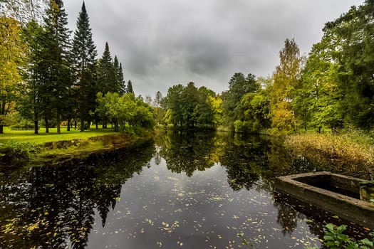 Nature near Peterhof, ponds and forest. Nature near Peterhof, ponds and forest