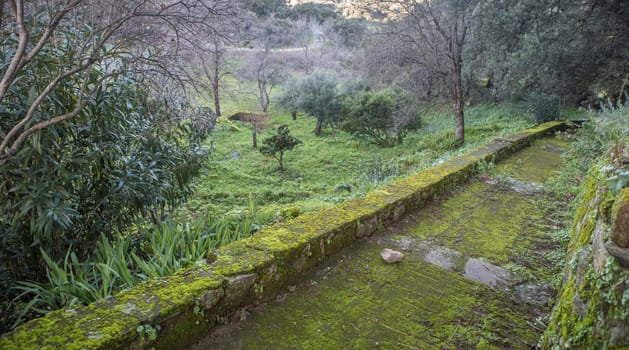 P. de Acim, Spain - Jan 21st, 2024: Exterior gardens of El Palancar Convent, Pedroso de Acim, Caceres, Spain