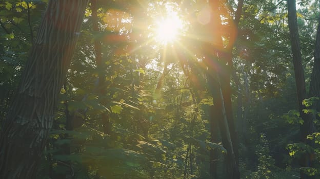 Bathed in the gentle glow of sunlight, the lush foliage of the forest comes alive on a radiant, sunny day. The interplay of light and shadow creates a mesmerizing spectacle, as sunbeams filter through the canopy, illuminating the verdant surroundings with warmth and vitality.""