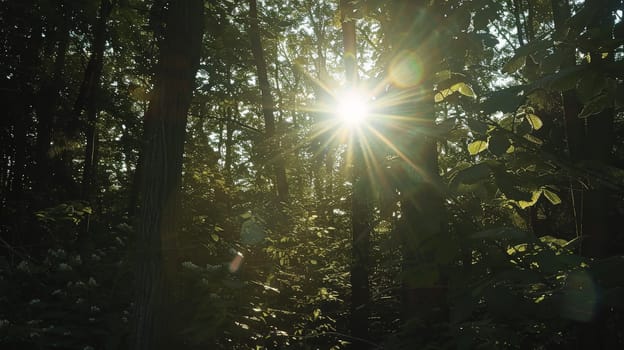 Bathed in the gentle glow of sunlight, the lush foliage of the forest comes alive on a radiant, sunny day. The interplay of light and shadow creates a mesmerizing spectacle, as sunbeams filter through the canopy, illuminating the verdant surroundings with warmth and vitality.""