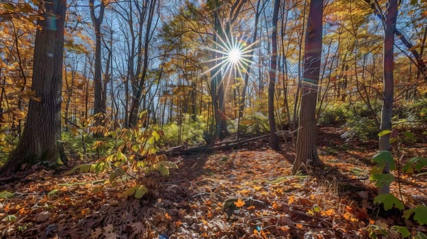 Bathed in the gentle glow of sunlight, the lush foliage of the forest comes alive on a radiant, sunny day. The interplay of light and shadow creates a mesmerizing spectacle, as sunbeams filter through the canopy, illuminating the verdant surroundings with warmth and vitality.