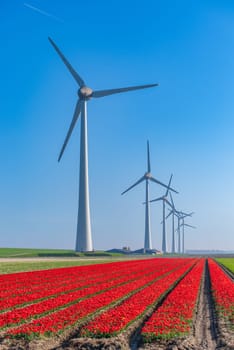 field of blooming tulips with some wind turbines in the background