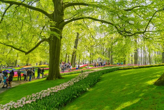 LISSE, NETHERLANDS - APRIL 22, 2018: Lots of people enjoying the blooming tulips in the Keukenhof, the most beautiful spring garden in the world.