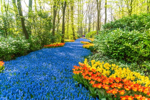 LISSE, NETHERLANDS - APRIL 22, 2018: Lots of people enjoying the blooming tulips in the Keukenhof, the most beautiful spring garden in the world.