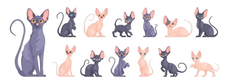 A large set of Sphynx cats in different dynamic poses. Cute sphinx kittens in cartoon vector