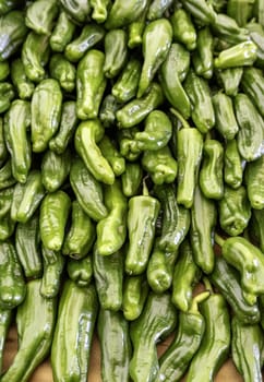 Detail of fresh vegetables in a markets, healthy food, vegan
