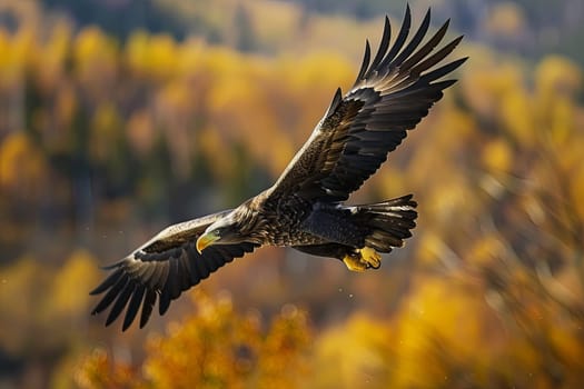 A large bird gracefully flies across a lush green field, its wings outstretched as it glides effortlessly through the sky. The birds elegant silhouette contrasts sharply against the vibrant backdrop of the flourishing landscape below.