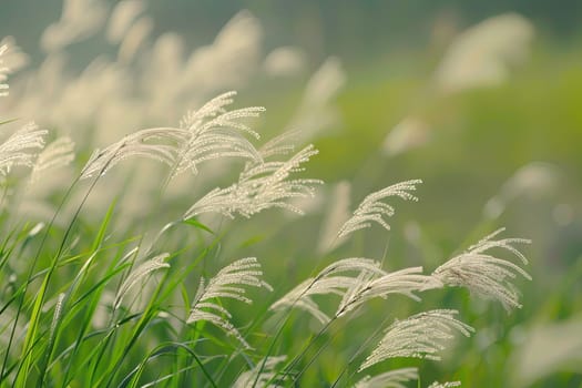 This close-up shot showcases a detailed view of vibrant green grass with a blurred background. The individual blades of grass are sharply in focus, creating a textured and natural composition.