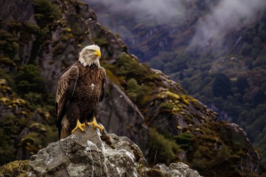 A bald eagle is perched majestically on a rock in the rugged mountain terrain. The iconic bird of prey stands tall, surveying its surroundings with keen eyes, showcasing its impressive wingspan and sharp talons against the mountain backdrop.