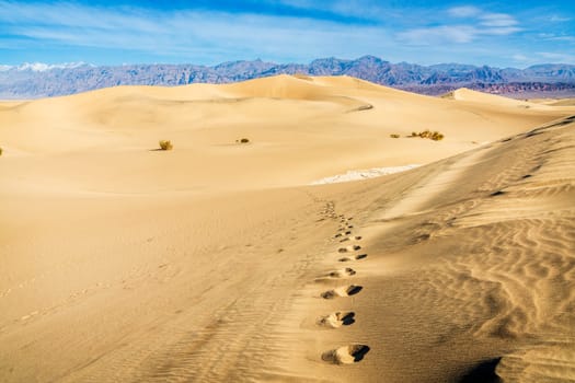 Scenic view of Mesquite Flat Sand Dunes in Death Valley National Park in California