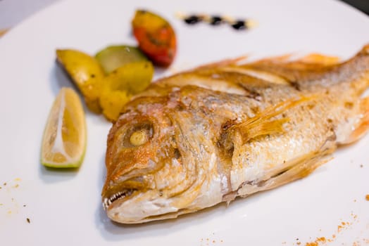 Grill fish on the white plate