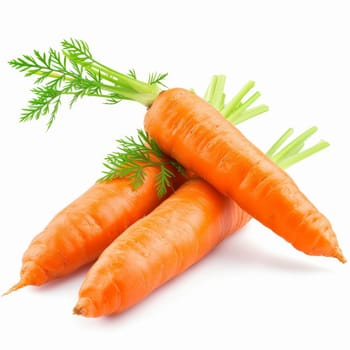 A detailed close-up of three carrots placed on a plain white background - isolated raw food
