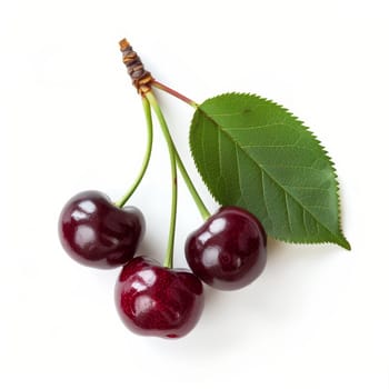 Three ripe cherries with stems and leaves, isolated on a white background