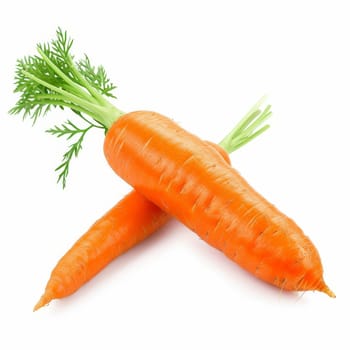 A detailed close-up of two carrots placed on a plain white background - isolated raw food