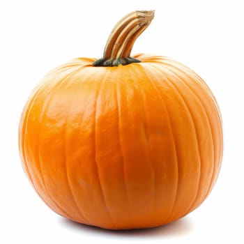 A vibrant orange pumpkin isolated on a white background, showcasing its smooth texture and natural look
