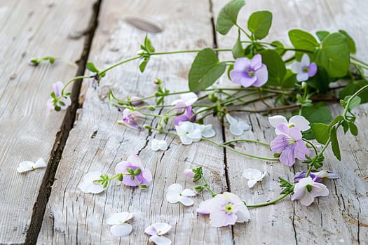 A collection of various colorful flowers laying spread out on a wooden table, creating a vibrant display of nature indoors.