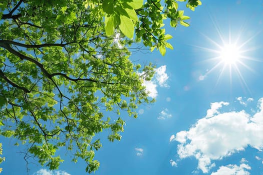The sun shines through the vibrant green leaves of a tree, creating a dappled pattern of light and shadows on the ground below. The foliage sways gently in the breeze, casting intricate patterns of light and shadow.