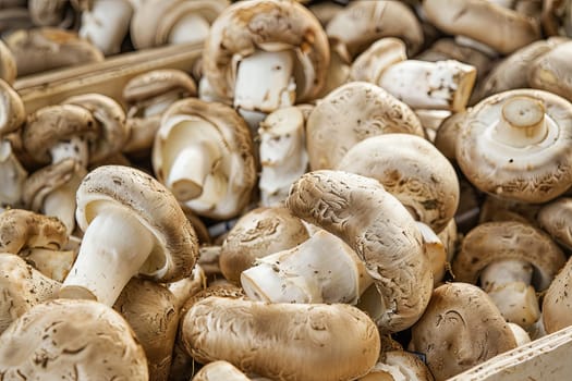A cluster of mushrooms tightly packed into a cardboard box, varying in size and shades of brown and white. The box is open, revealing the assortment of fungi neatly arranged inside.