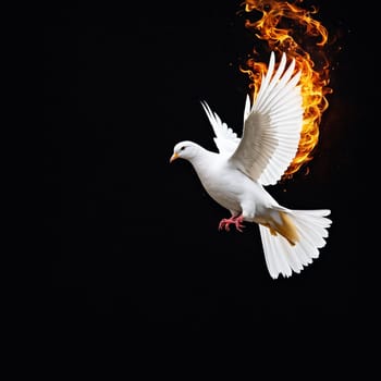 Flying white dove with fire effect on dark background. Symbol of peace.