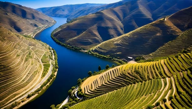 AI generated of a river with vineyard in the background and a river in the middle