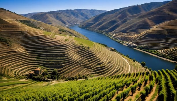 AI generated of a river with vineyard in the background and a river in the middle