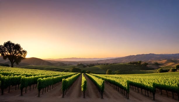 AI generated of a sunset view of a vineyard with a mountain range in the background