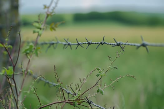 A detailed view of a barbed wire fence, showing the sharp, twisted metal wires intertwined closely to deter entry. The fence runs horizontally across the frame, creating a sense of confinement and security.