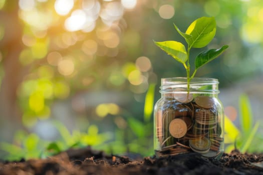A glass jar is filled with various coins, and a green plant is growing out of the opening. The plants roots are visible through the clear jar, intertwining with the coins inside.