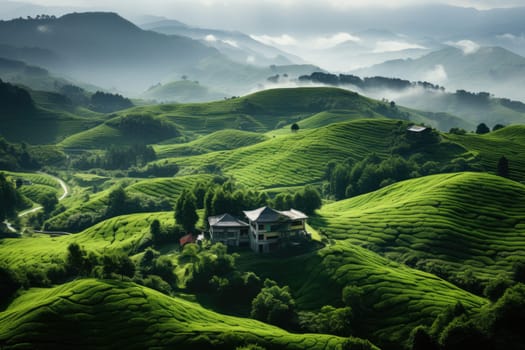 luxury homestay on a hilltop with views of green tea plantations inspiration ideas