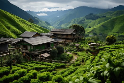 luxury homestay on a hilltop with views of green tea plantations inspiration ideas